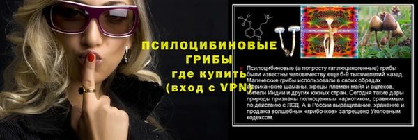 прущие крисы Бронницы