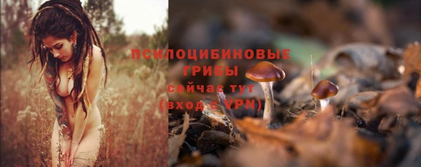 прущий лед Бородино