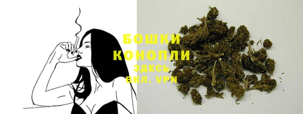 хмурый Богородск