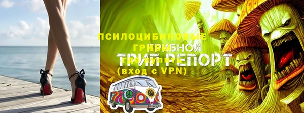 прущий лед Бородино