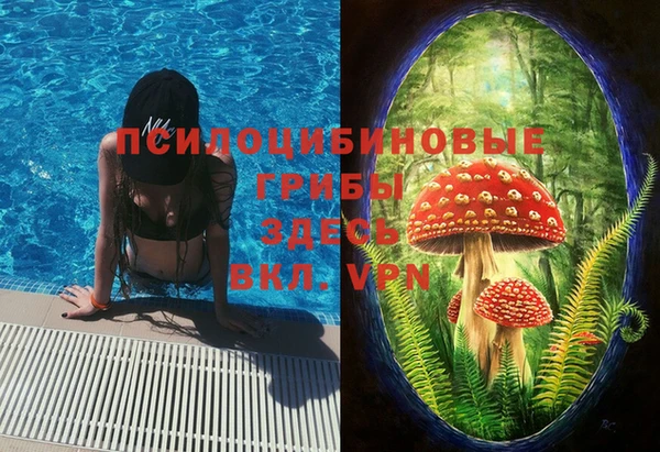 прущие крисы Бронницы