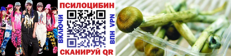 Купить  Рассказово  Галлюциногенные грибы MAGIC MUSHROOMS 